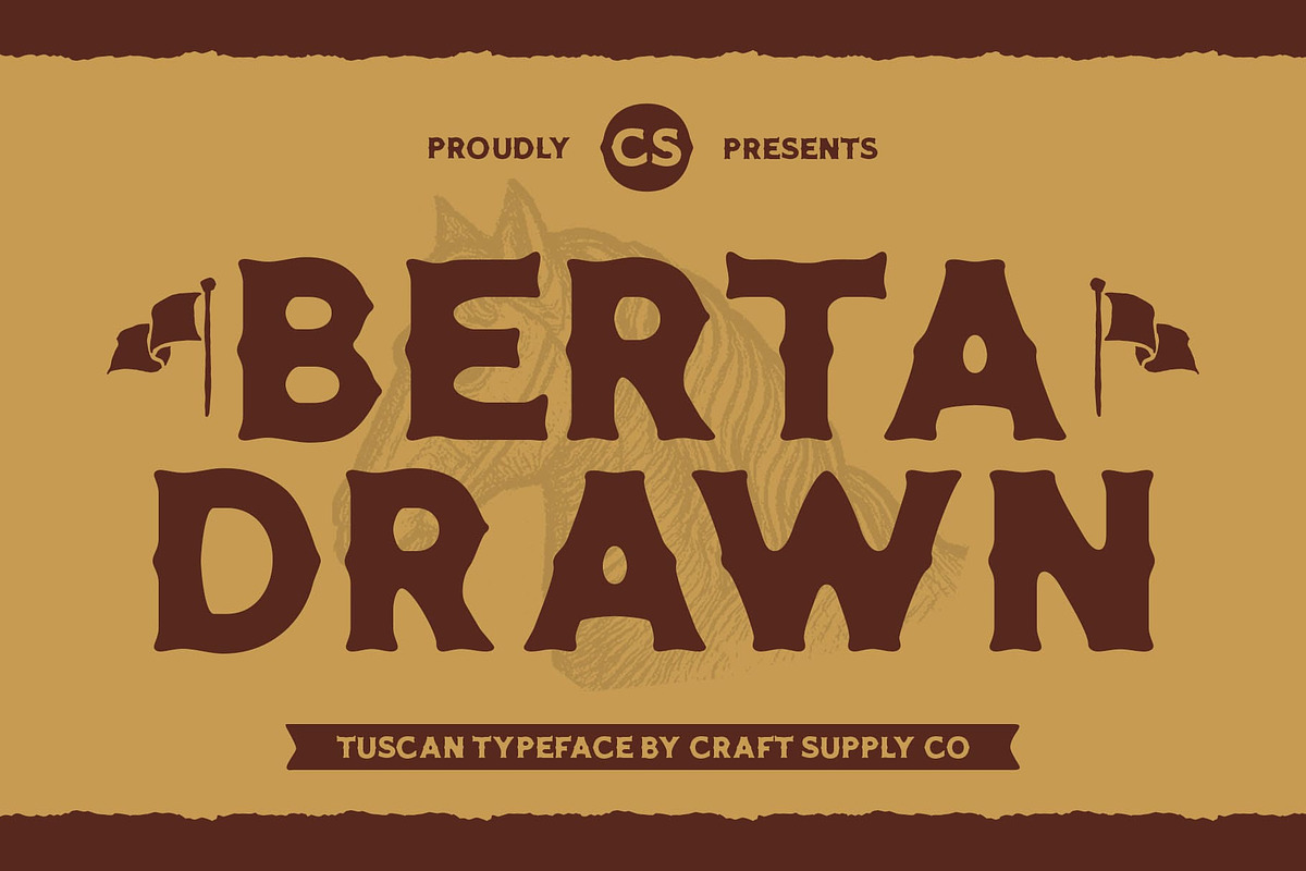CS Berta Drawn, a Serif Font by Craft Supply Co. (Photo 1 of 8)