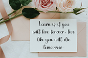 Beauty British, a Handwritten Font by FreshTypeINK (Thumbnail 8 of 8)