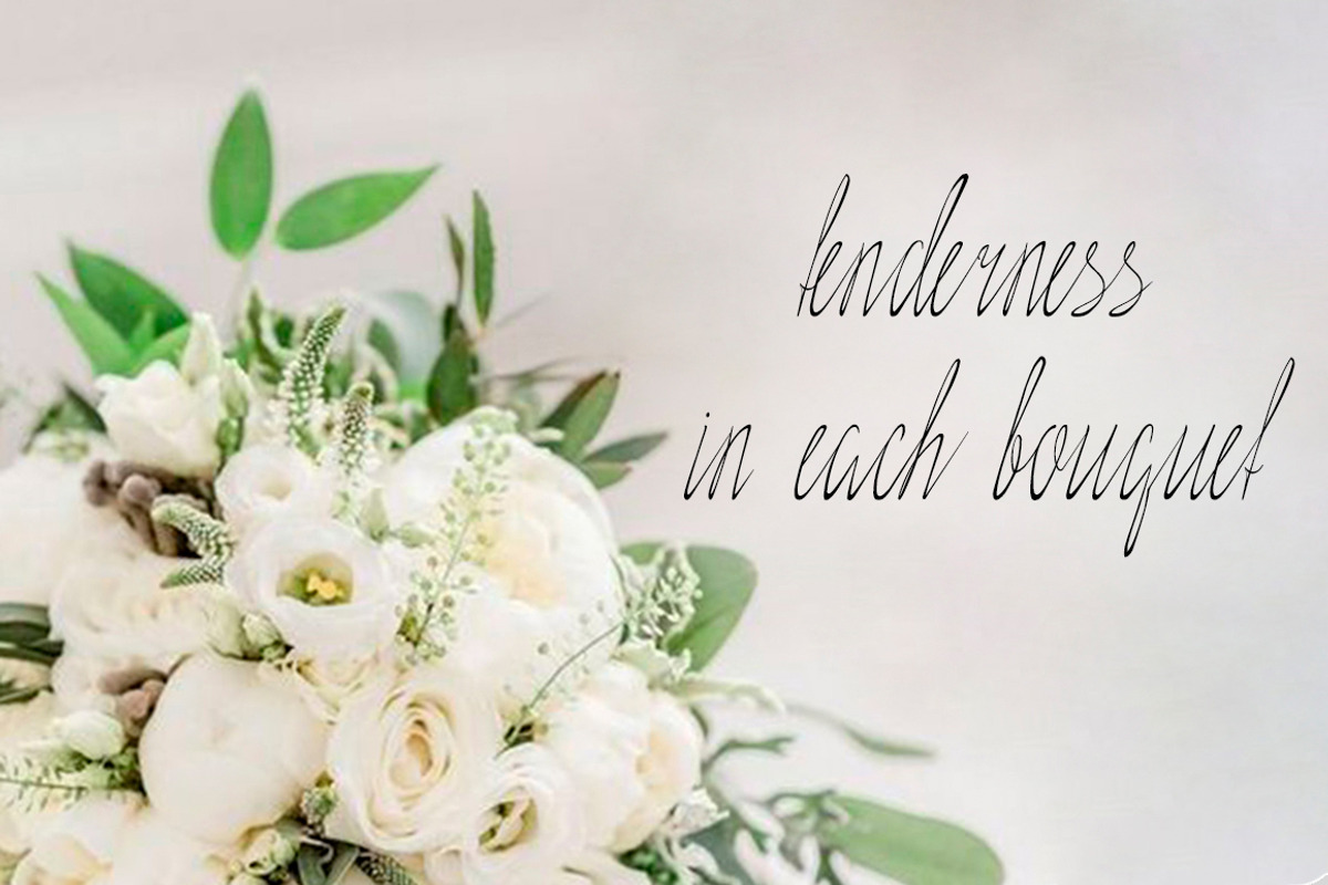 Elegance Script (otf, ttf) preview 4