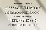 Shery || Vintage Serif Font, a Serif Font by Idea Studio (Thumbnail 10 of 10)