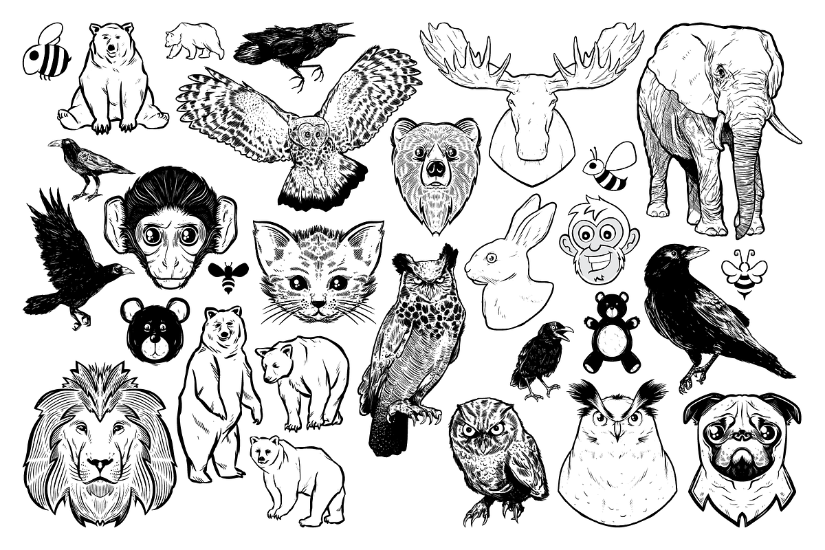 Paws & Wings Vector Animals, an Animal Illustration by Vectory by BSC (Photo 3 of 3)
