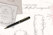 POPPY SUNSET pencil floral sketches, a Decorative Illustration by Yuliia Lashevska (Thumbnail 6 of 10)