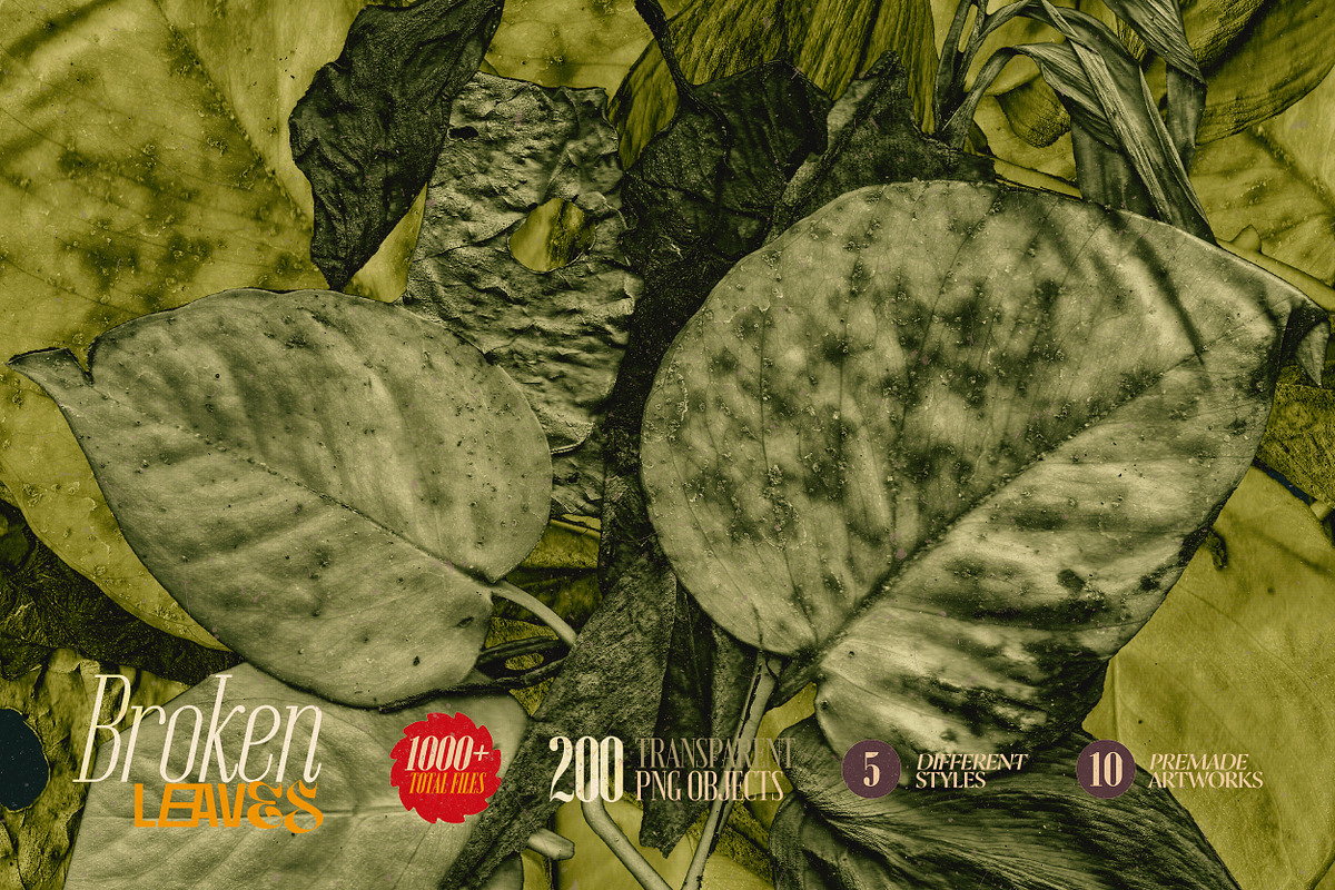 Broken Leaves 200 Transparent Object, an Object Graphic by nicholasasmita (Photo 11 of 15)