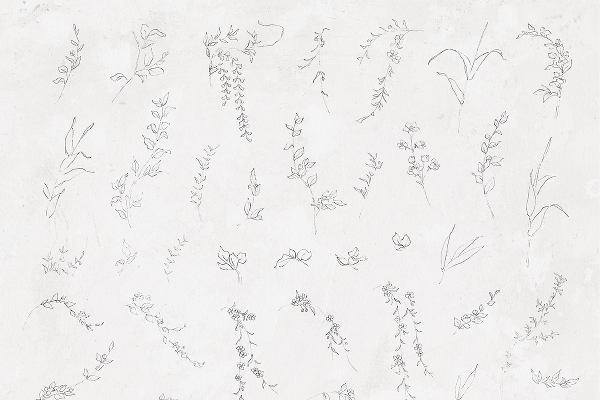Ikebana Flower Illustrations, a Texture Illustration by Greta Ivy (Photo 5 of 7)