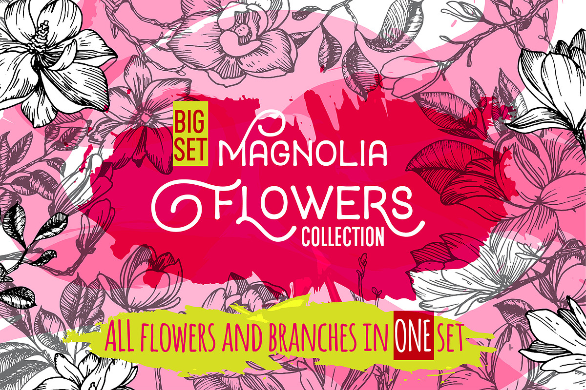 Magnolia flowers. Engraving style., a Decorative Illustration by Alena Kaz (Photo 1 of 12)
