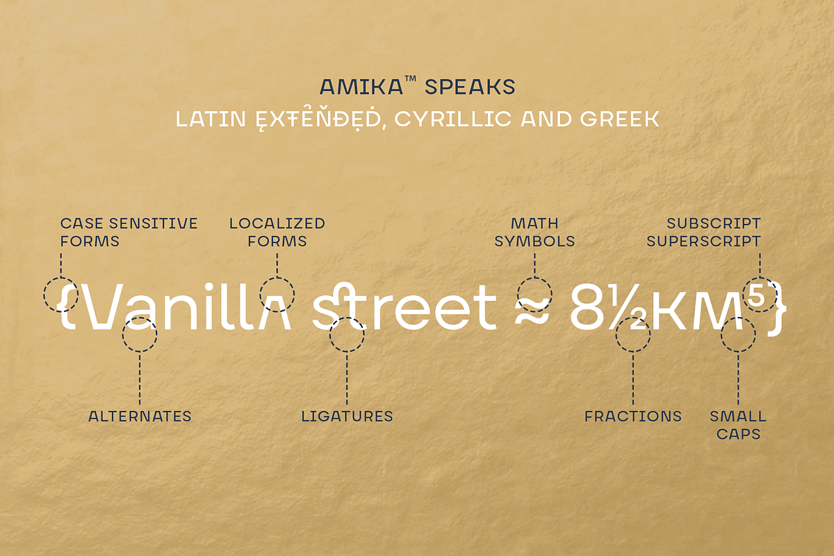Amika, a Sans Serif Font by Craceltype (Photo 9 of 10)