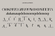 Arania, a Serif Font by Kenrichi (Thumbnail 4 of 10)