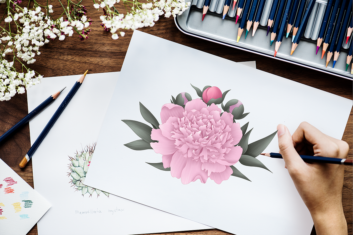 Peony Collection, a Wallpaper Graphic by sizileon (Photo 2 of 14)