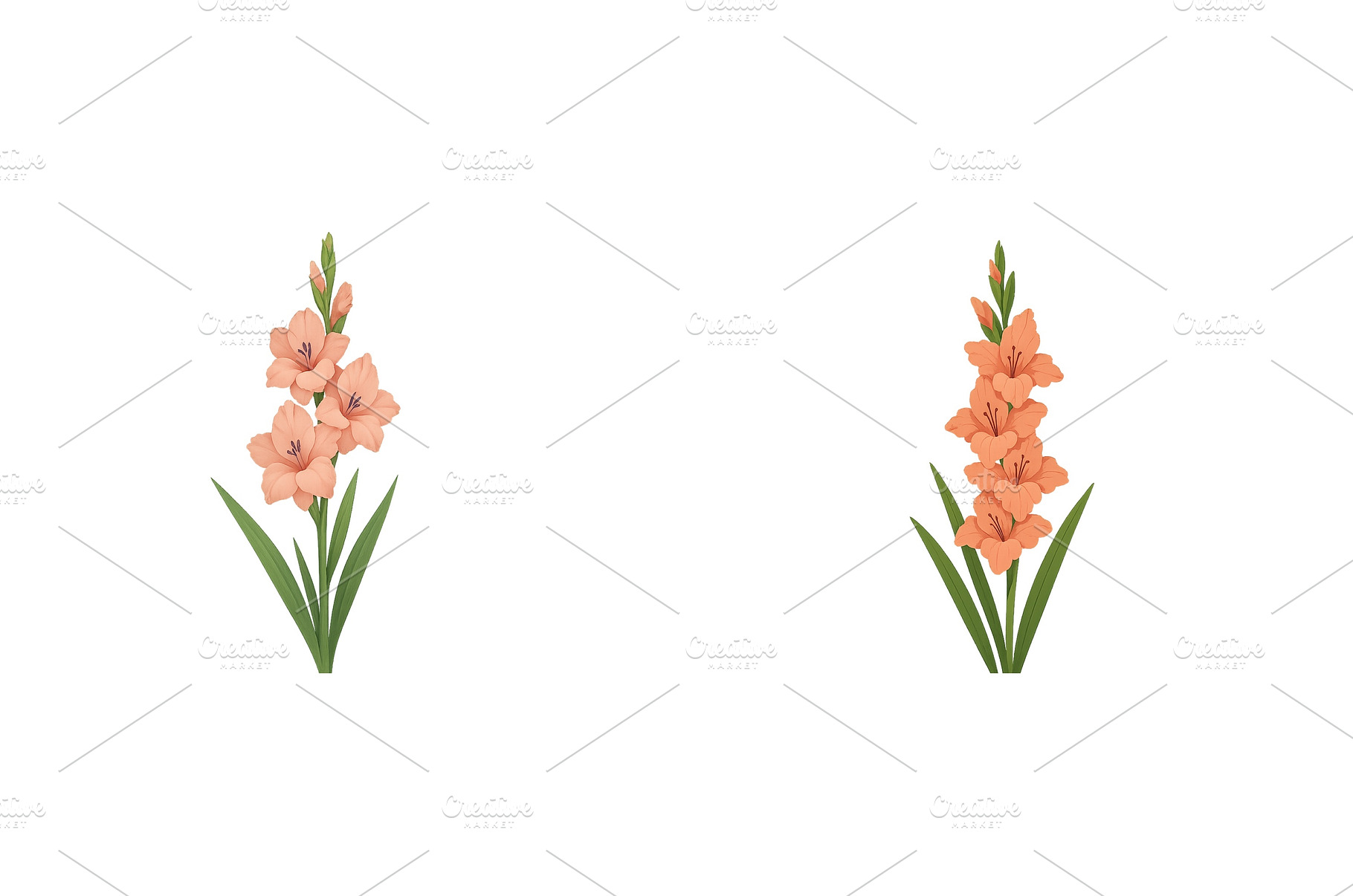 Elegant gladiolus flowers in soft, a Nature Photo by ZinetroN