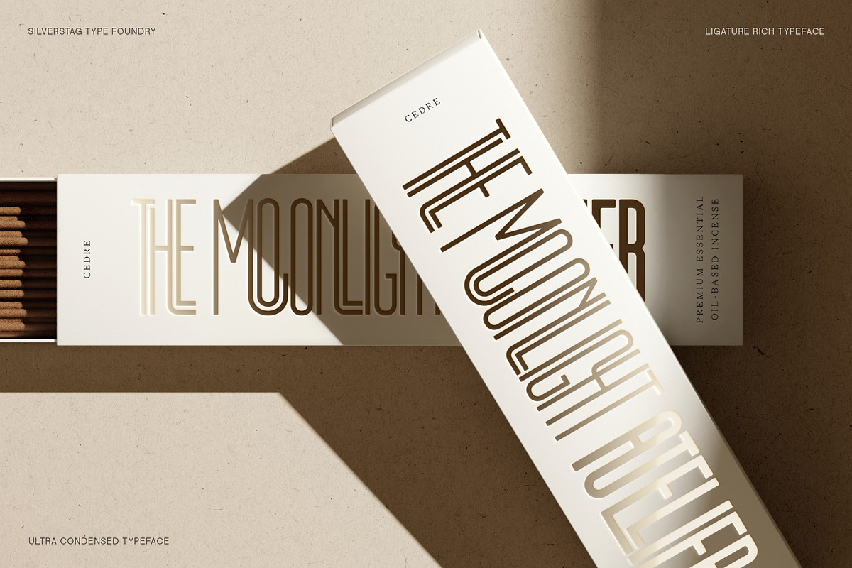 First Contact - 16 Fonts in One Pack, a Sans Serif Font by SilverStag Type Foundry (Photo 3 of 30)