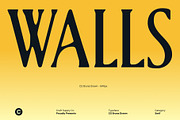 CS Bruna Drawn, a Serif Font by Craft Supply Co. (Thumbnail 2 of 8)
