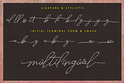 Alesana Signature, a Script Font by AMINMARIO (Thumbnail 13 of 14)