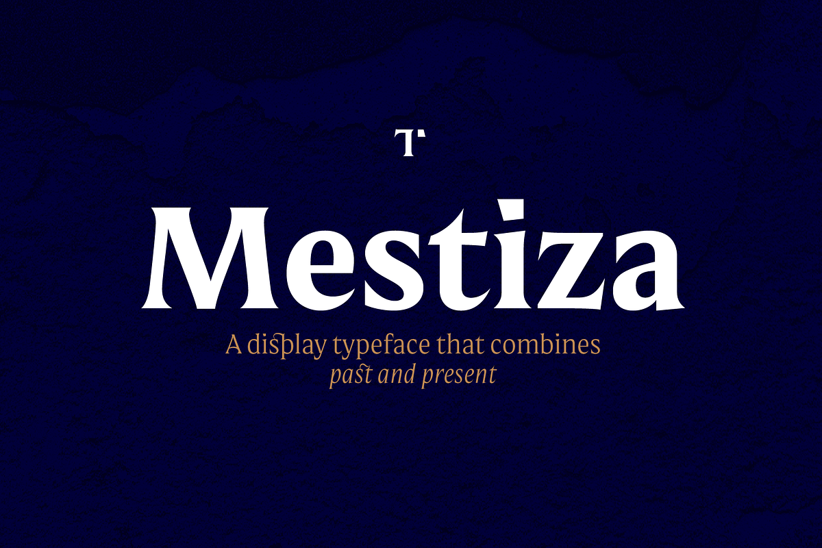Mestiza, a Serif Font by Lechuga Type (Photo 1 of 16)