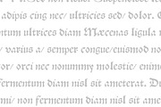 1538 Schwabacher, a Blackletter Font by GLC Foundry (Thumbnail 4 of 4)