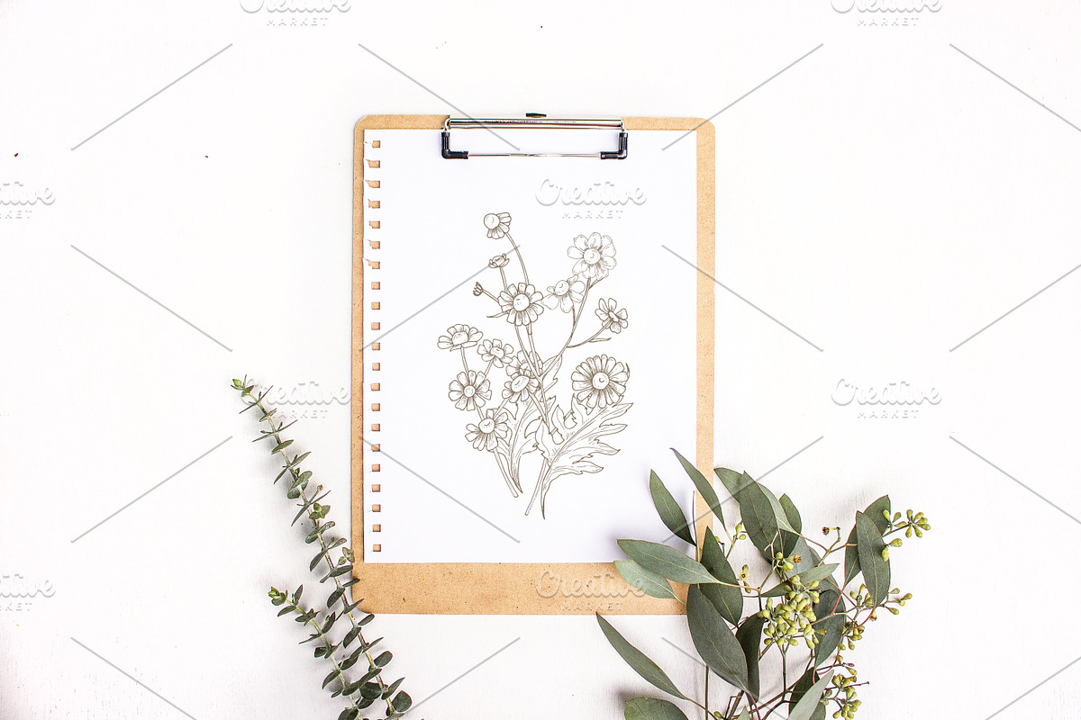 Wild flowers,herbs,herbaceous plants, a Texture Illustration by Good Studio (Photo 19 of 22)