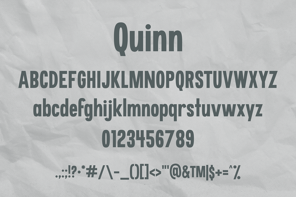 Quinn | A Bulky Sans Serif, a Sans Serif Font by Emalee Roth (Photo 6 of 6)