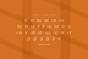 Menna Elegant Modern Serif Font, a Serif Font by Perfectype (Thumbnail 8 of 8)