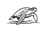 50 Sea Turtle Vector Silhouette Bund, an Illustration by jahid234 (Thumbnail 25 of 51)