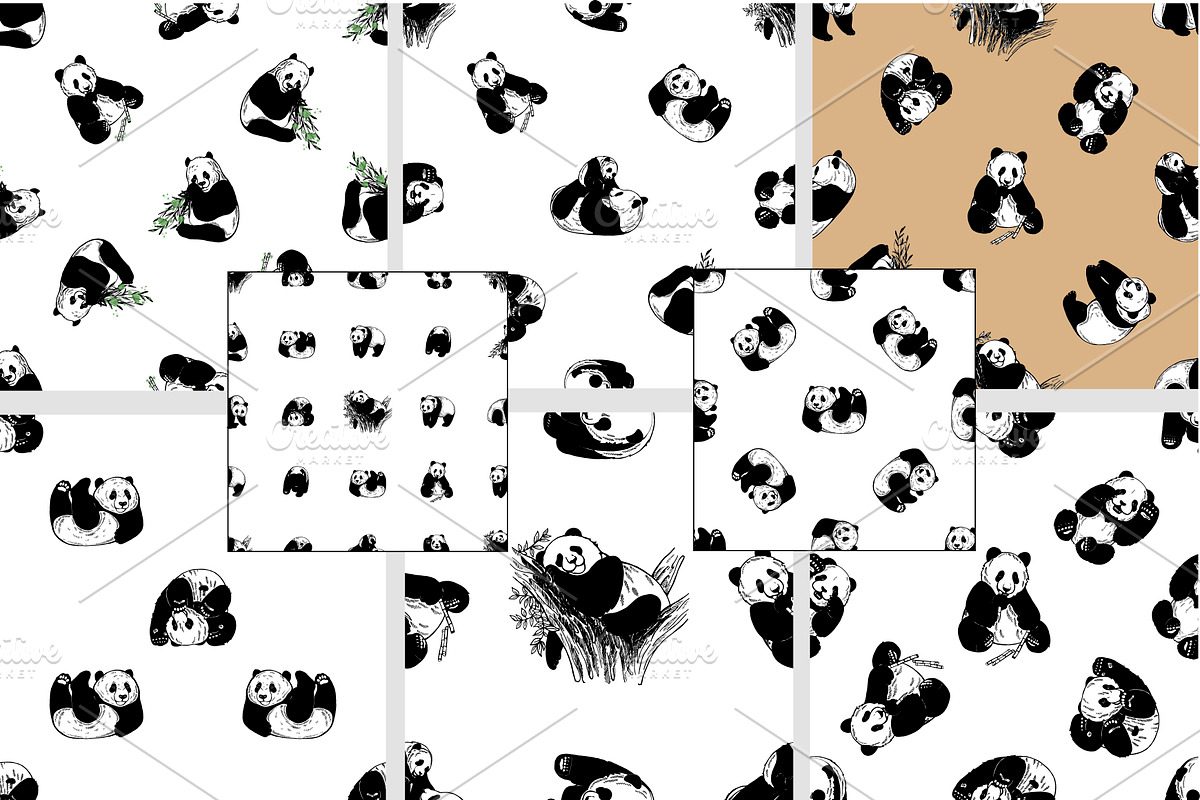 Panda, an Animal Illustration by Ecaterina Sciuchina (Photo 5 of 6)