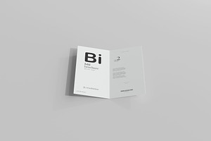 100x DL Brochure Mockup Bundle