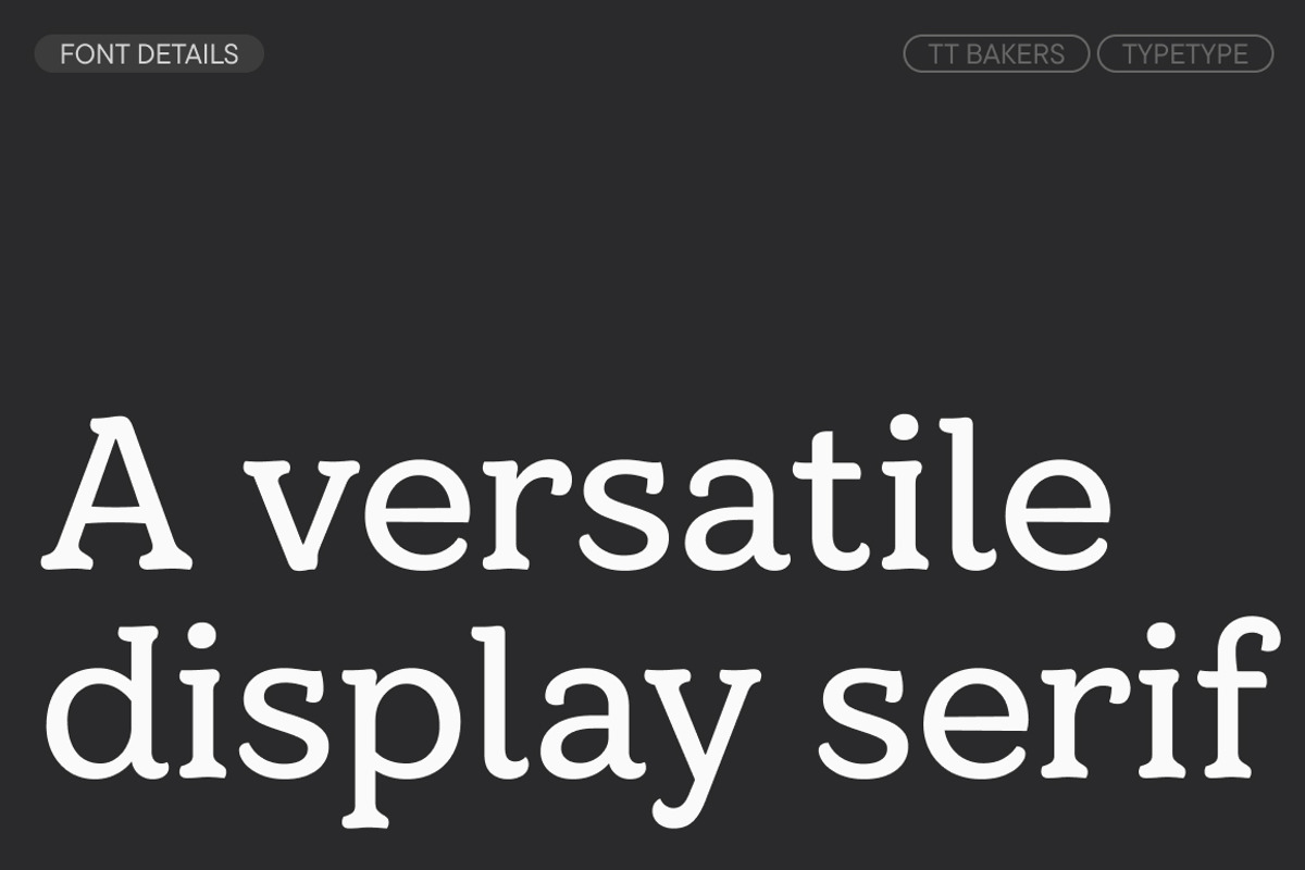 TT Bakers, a Serif Font by TypeType (Photo 3 of 15)