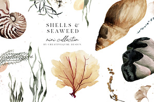 Shells & Seaweed Watercolor