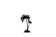 Palm Tree Vector Bundle Pack, an Illustration by Artivon (Thumbnail 2 of 20)