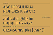 Megiko | High Contrast Classic Font, a Sans Serif Font by Hole Hope Design (Thumbnail 4 of 10)
