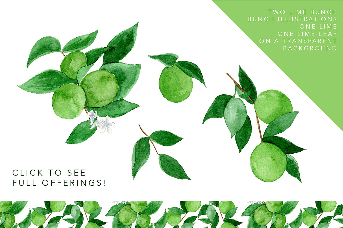 Juicy Watercolor Lime Set, an Illustration by One and Only Paper (Photo 2 of 6)