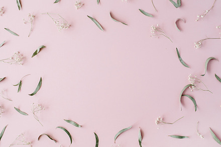 Leaf frame containing isolated, greeting, and dry, an Arts & Entertainment Photo by Floral Deco