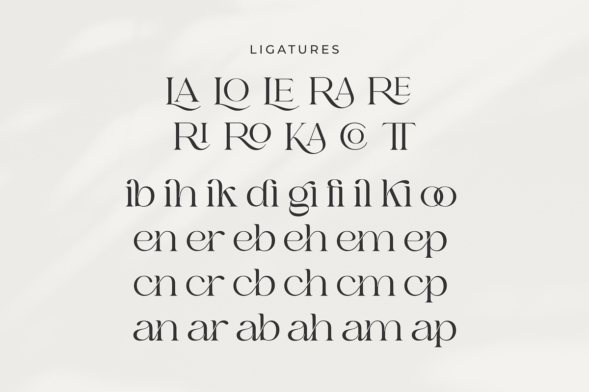 Bilgie - Chique Serif Font, a Serif Font by zeenesia (Photo 18 of 19)