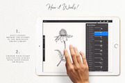 Floral Procreate Brushes and Stamps, a Brush Add-On by Sophia J Caldwell (Thumbnail 10 of 18)