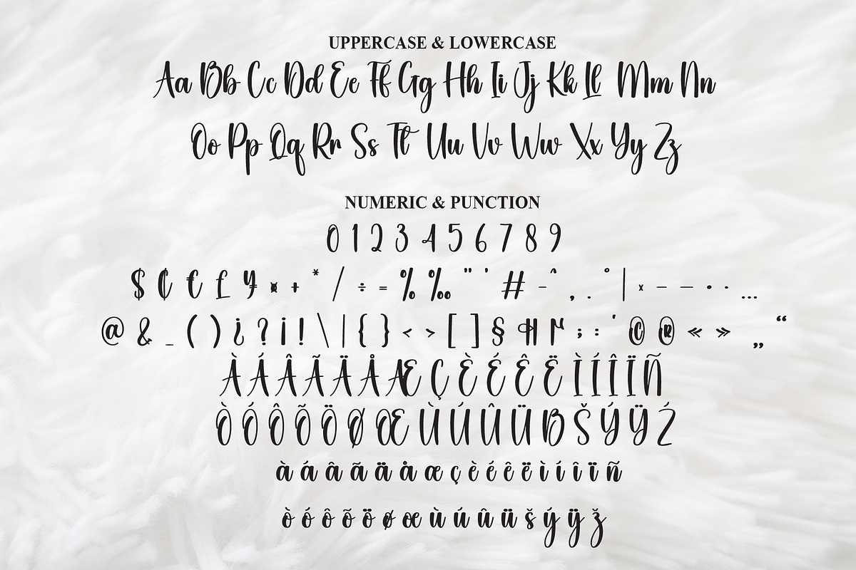 Bushy | Script Font, a Handwritten Font by Scratchones (Photo 7 of 8)