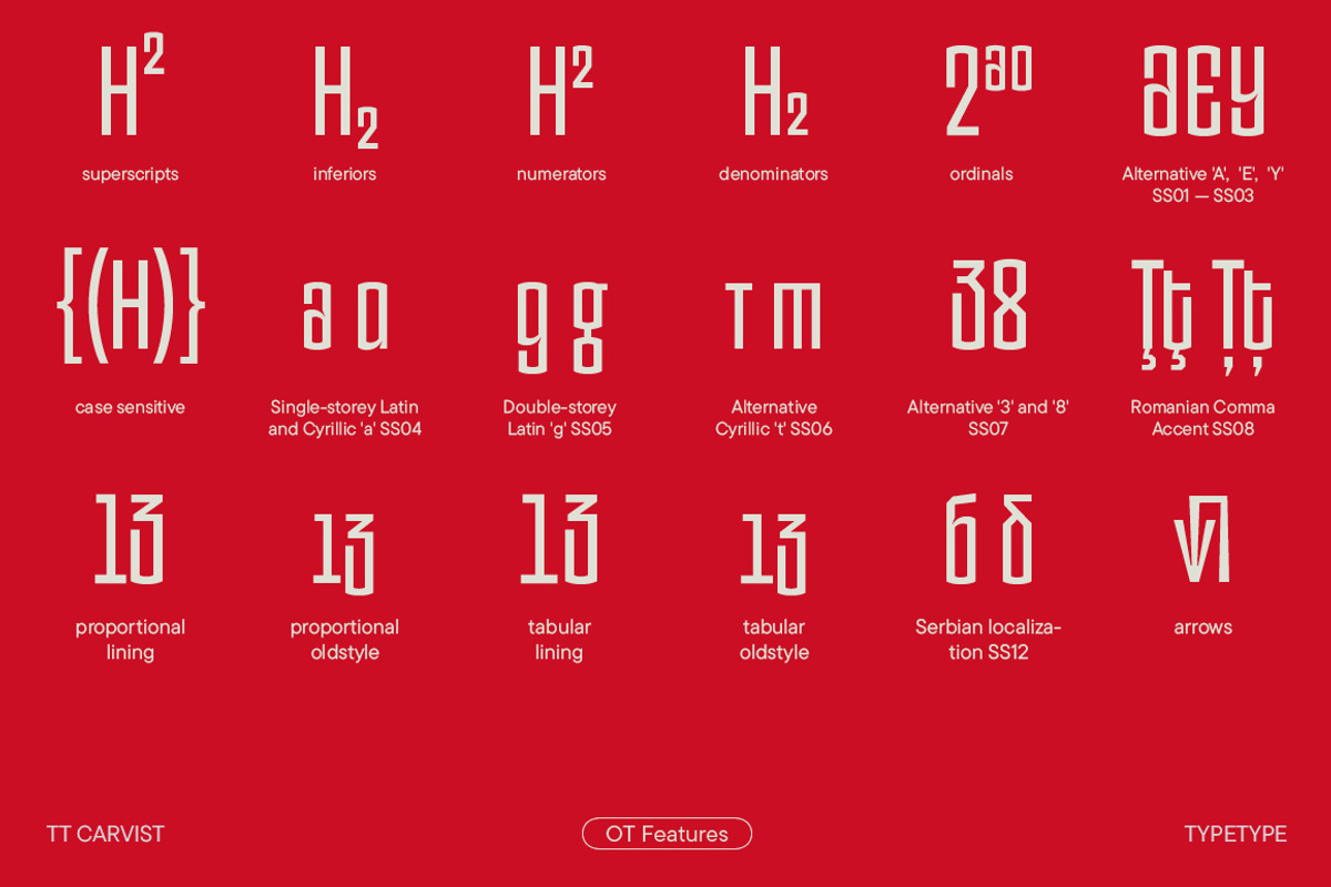 TT Carvist, a Sans Serif Font by TypeType (Photo 6 of 15)