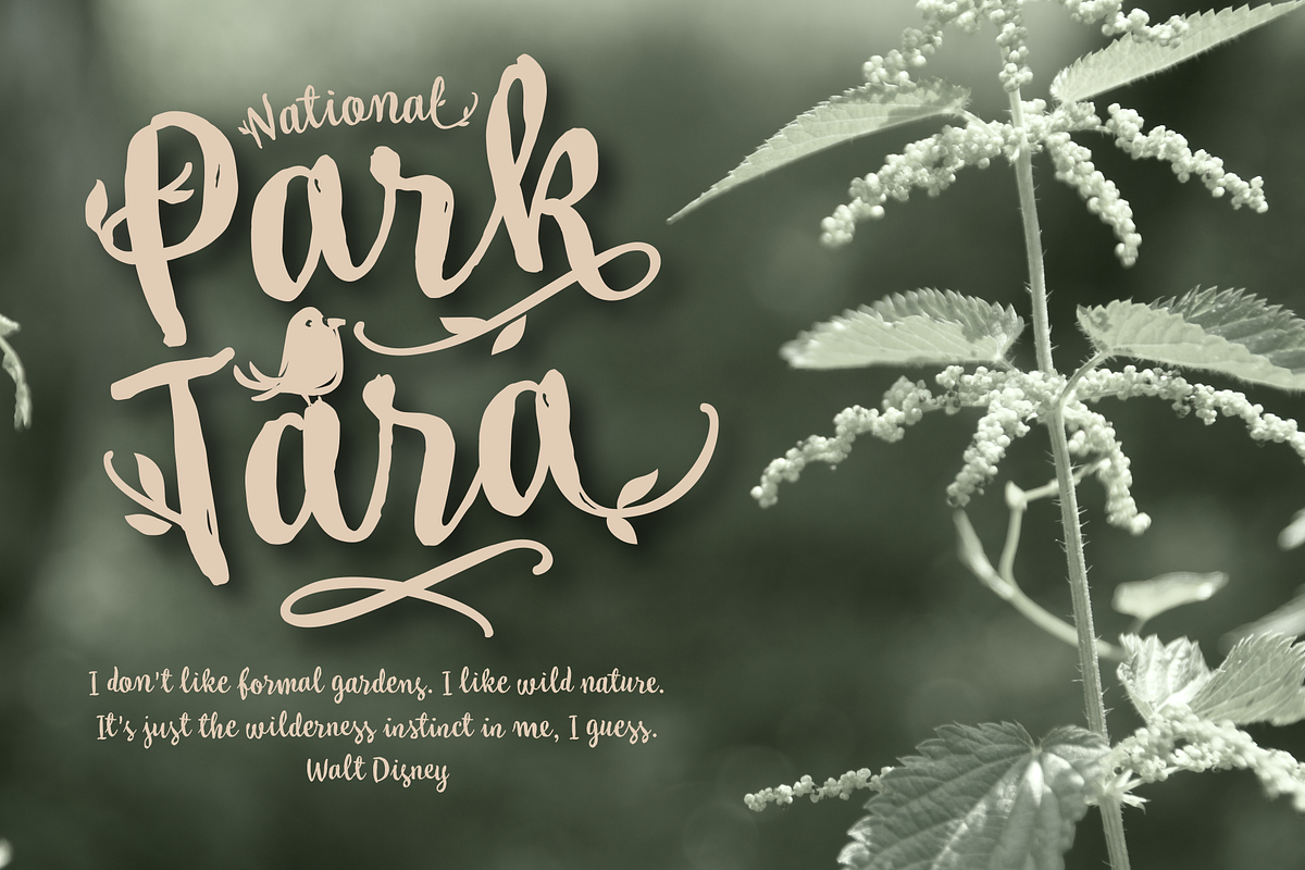 My Tara preview 2