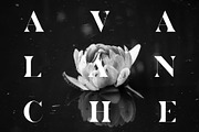 Wrangler - Modern Fashion Caps Font, a Serif Font by Tropical Type (Thumbnail 4 of 6)