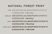 National Forest Font Duo, a Script Font by Rachel Kick (Thumbnail 11 of 12)