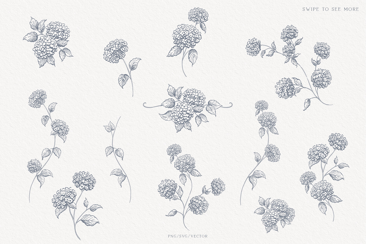 Hydrangea line art flowers, an Object Illustration by Sensual Art (Photo 3 of 9)