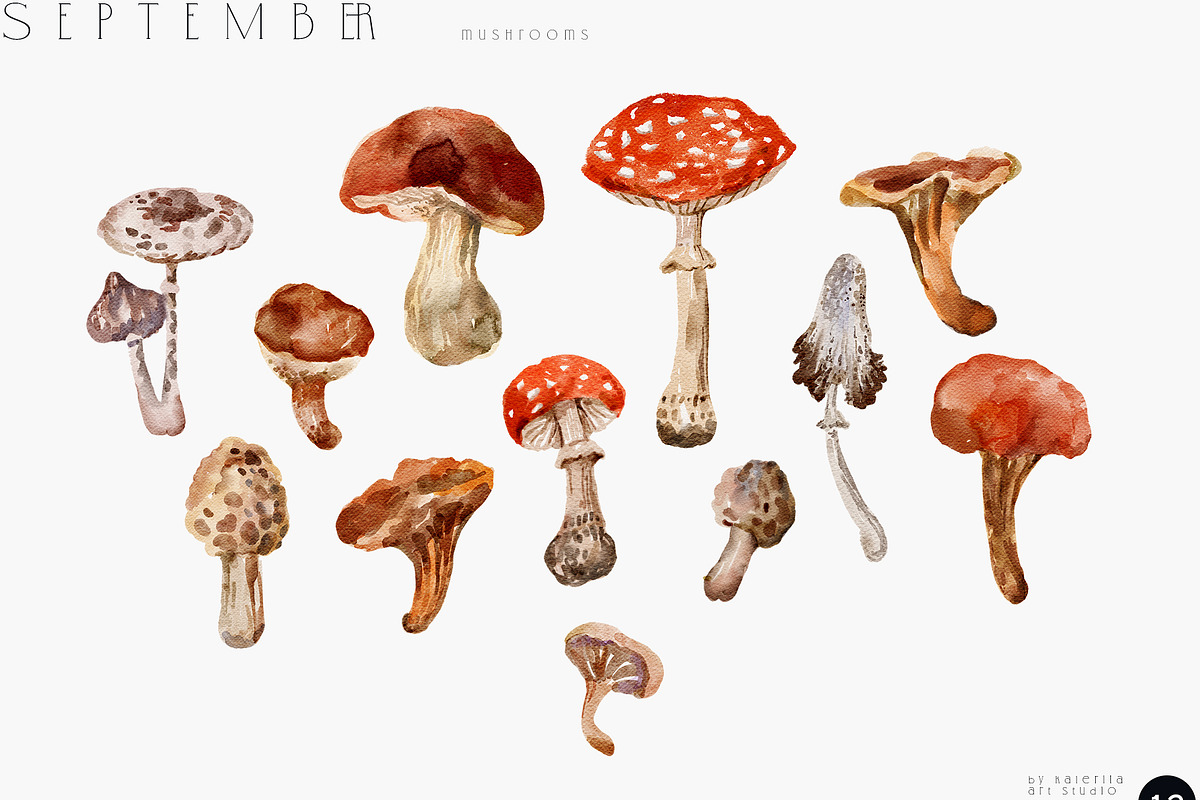 SEPTEMBER Watercolor Fall Set, an Object Graphic by Kaleriia (Photo 7 of 13)