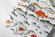 Watercolor Fishes, an Animal Illustration by cat_arch_angel (Thumbnail 4 of 4)