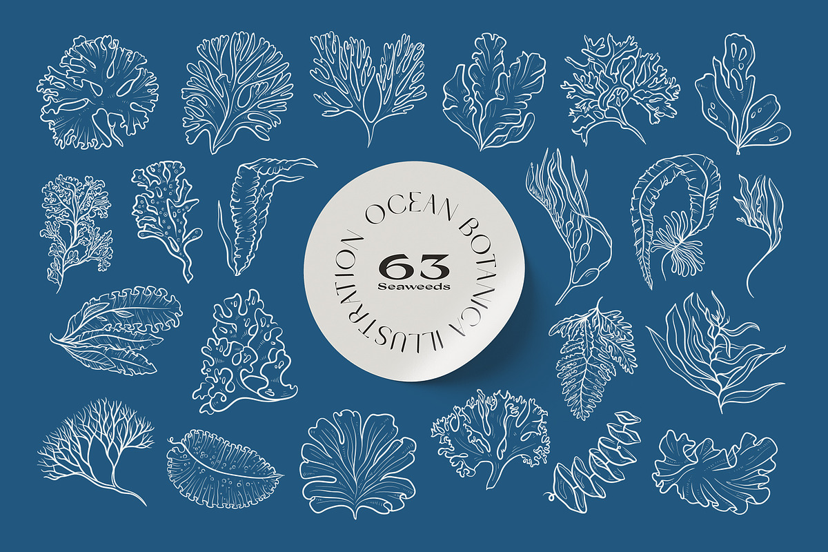 Ocean Botanica, an Animal Illustration by KetteCreate (Photo 6 of 13)