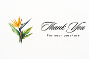 Exotic Watercolor Bird of Paradise, a Decorative Illustration by New-School-Wave (Thumbnail 5 of 5)