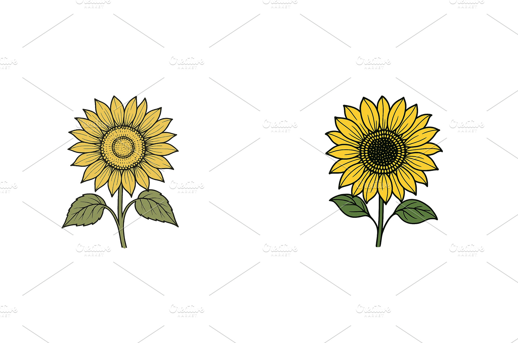 Sunflowers displayed side by side, a Nature Photo by ZinetroN