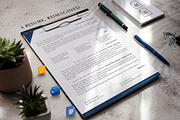 CEO Resume Template, CV Templates, a Resume Template by Career Canvas (Thumbnail 7 of 11)