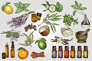Aromatherapy and Essential Oils, an Illustration by Lady Spy (Thumbnail 3 of 7)