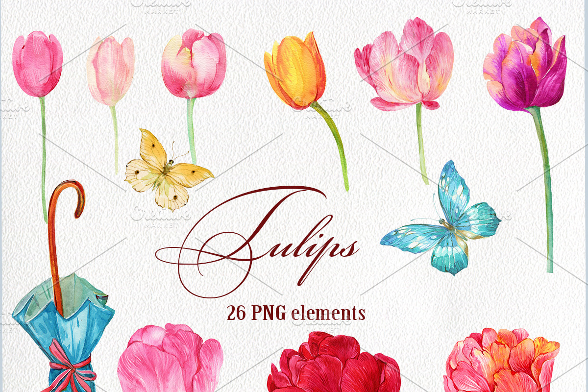 Tulips Clipart Watercolor, a Background Graphic by MitrushovaArt (Photo 3 of 4)