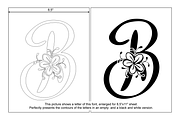 Floryfic Font, a Script Font by Digital Typeface Studio (Thumbnail 4 of 8)