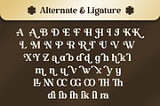 Adivera - Retro Serif Font, a Serif Font by Flawless And Co (Thumbnail 9 of 10)