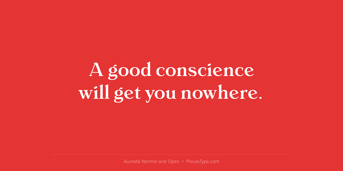 Aureata, a Serif Font by preussTYPE (Photo 8 of 10)