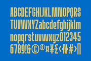 Altus Moritile - Combination Font, a Sans Serif Font by Marvadesign (Thumbnail 6 of 12)